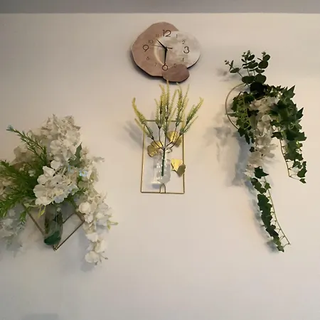 Appartement Maison Chaleureuse